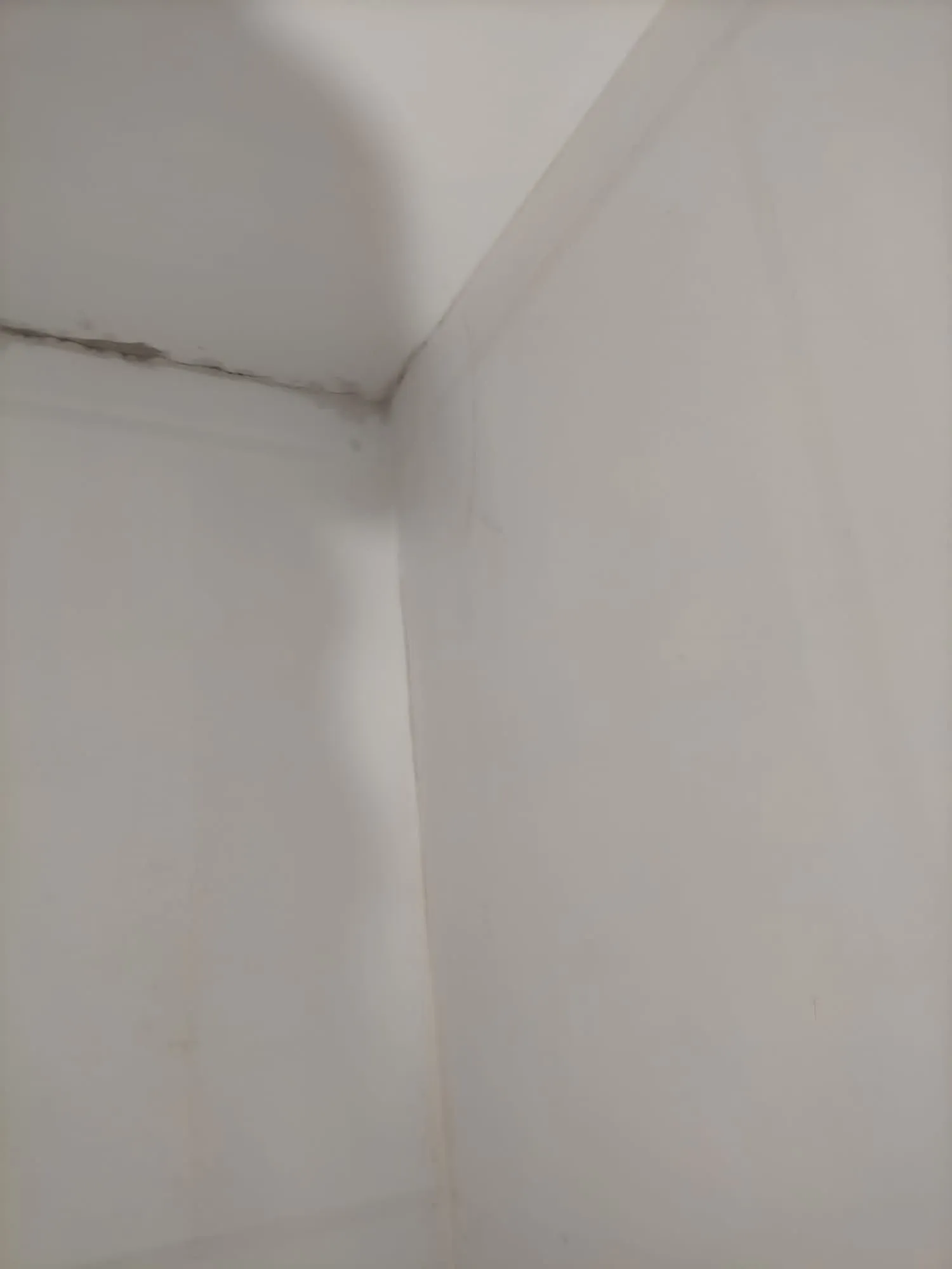 Appartamento, Milano (zona Bocconi), Milano, foto 5